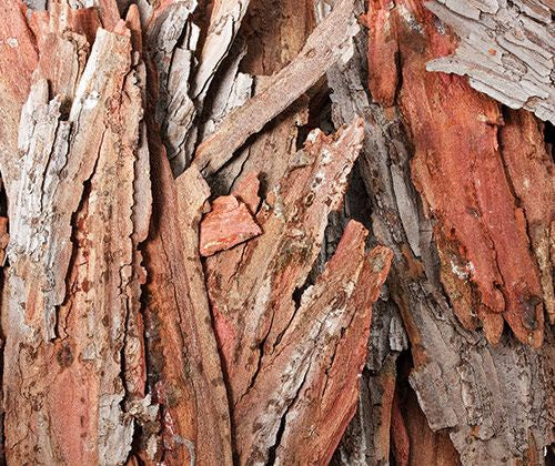 Loose  Parts - Bark Pieces - Small - 250g