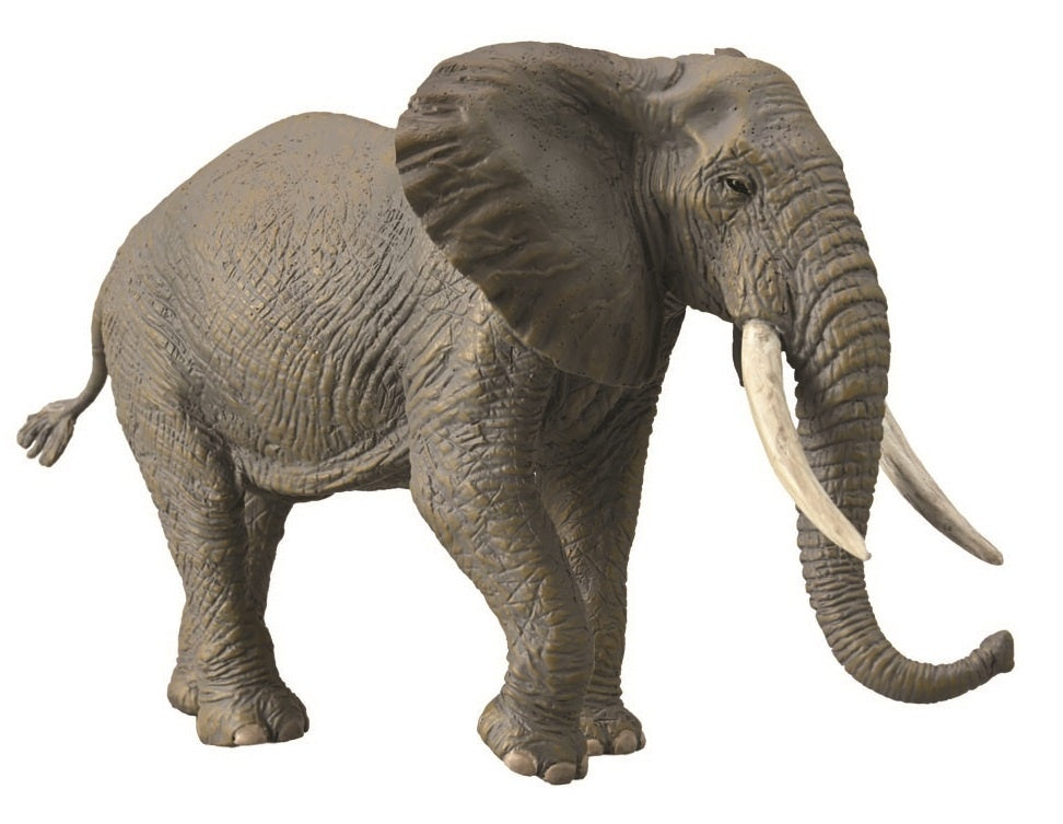 CollectA - African Elephant 88966