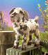 FOLKMANIS HAND PUPPET Goat, Screaming - 3112