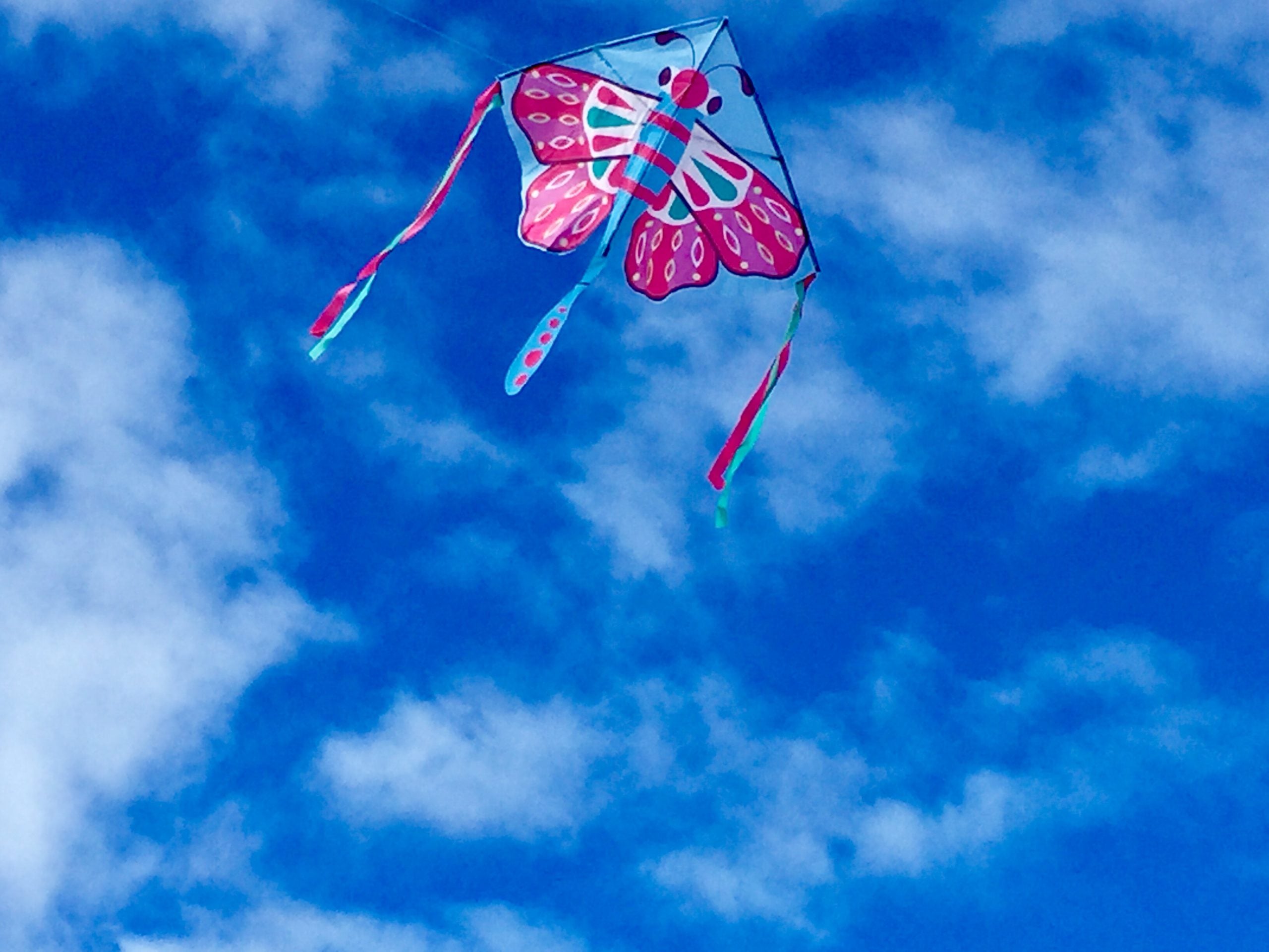 High as a Kite - Beautiful Butterfly Kite