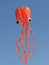 High as a Kite - Octopus - Kite