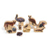 THE FRECKLED FROG - Australian Animals - Set of 10 Wooden