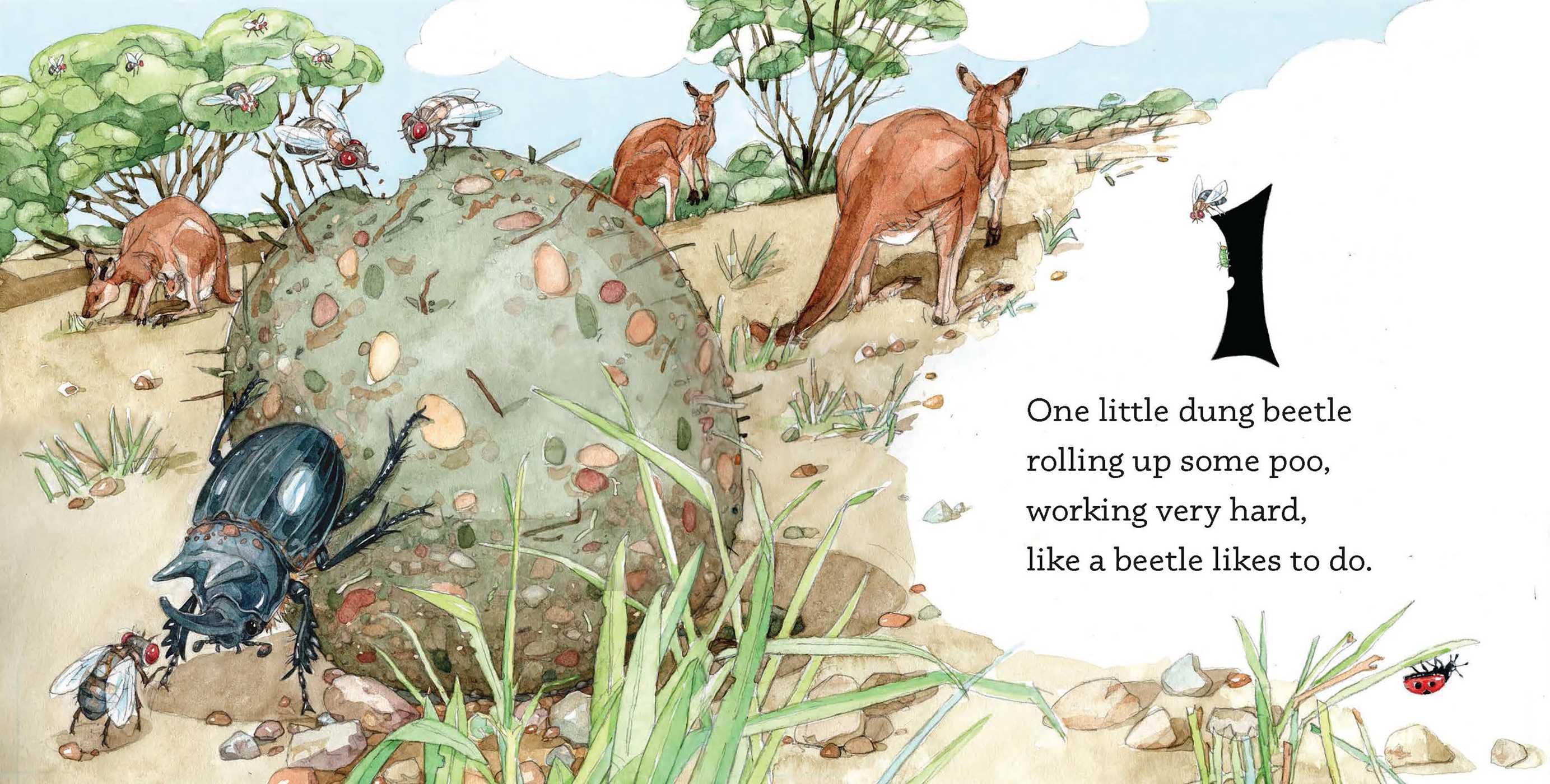 One Little Dung Beetle - Picture Book