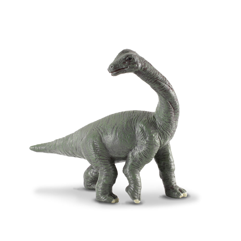 Collecta- Dinosaur -   Set B - Babies Set of 6