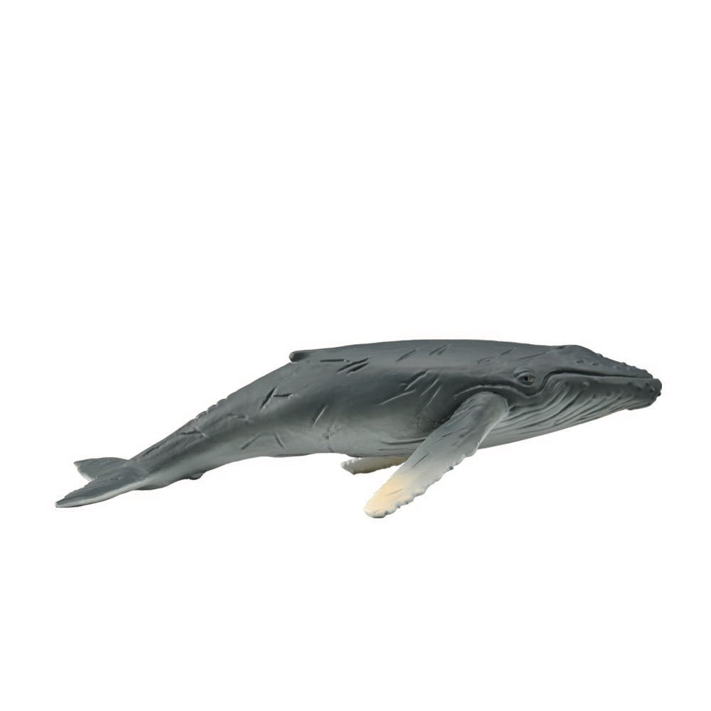 CollectA - Ocean - Humpback Whale Calf