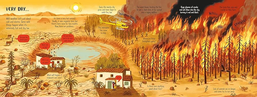 Look Inside Wild Weather - Board Book