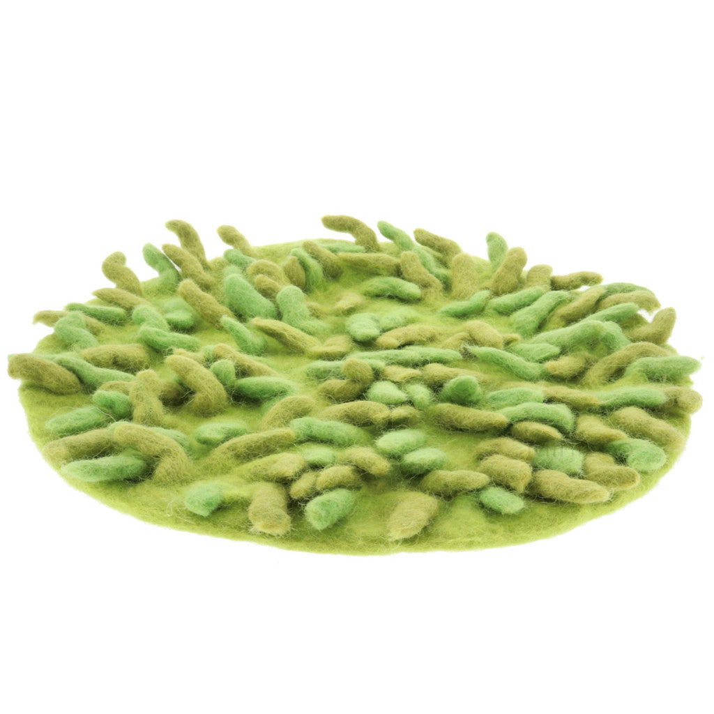 PAPOOSE - Grassy Mats - Felt