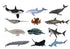 CollectA - Ocean - Set A - Set of 12