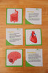 Qtoys - Anatomy Puzzle - Large Wooden Human Body