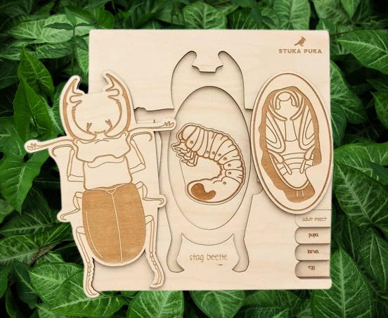 Stuka Puka Stag Beetle - Wooden Educational Puzzle