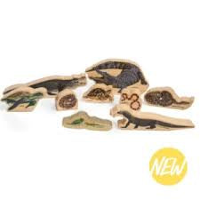 THE FRECKLED FROG - Reptiles Set Wooden
