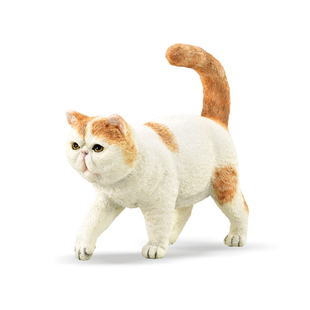 CollectA - Cat - Short Hair