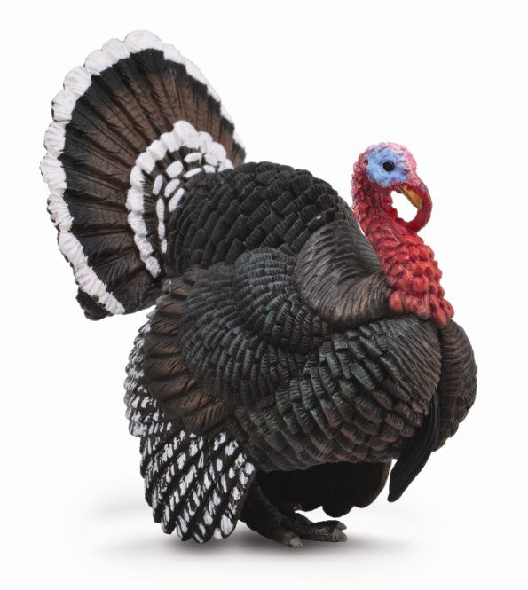 CollectA - Farm - Turkey