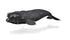 CollectA - Ocean - Right Whale
