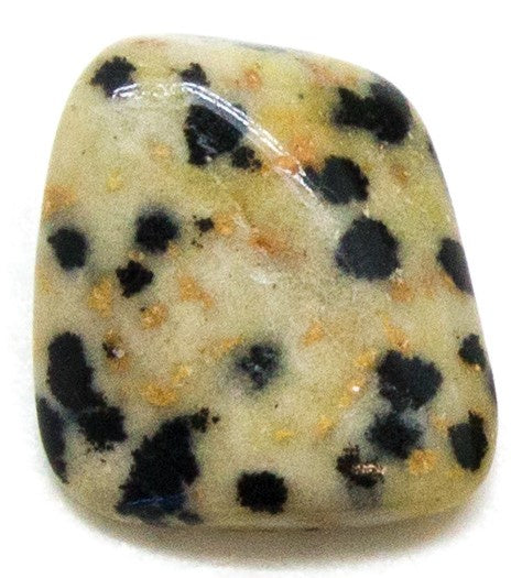 Gemstone - Dalmatian Jasper Tumbled Stone - Single