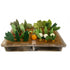 PAPOOSE Vegetables  Grow-A-Garden -  Full Set of 36 - Felt