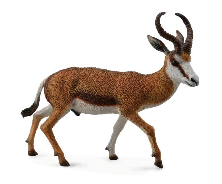 CollectA - Wildlife - Springbok