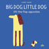 Big Dog, Little Dog: Lift-The-Flap Opposites - Board Book