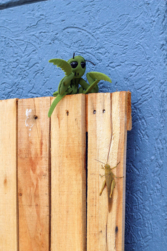 FOLKMANIS Finger Puppet - Praying Mantis - 2610