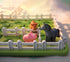 SMART GAMES Smart Farmer - Single Player