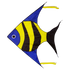 High as a Kite -  Reef Fish Kite