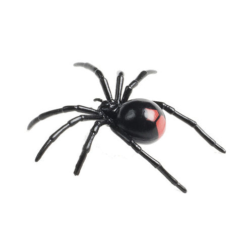 RED BACK Spider