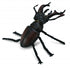 CollectA - Insects & Spiders - Stag Beetle