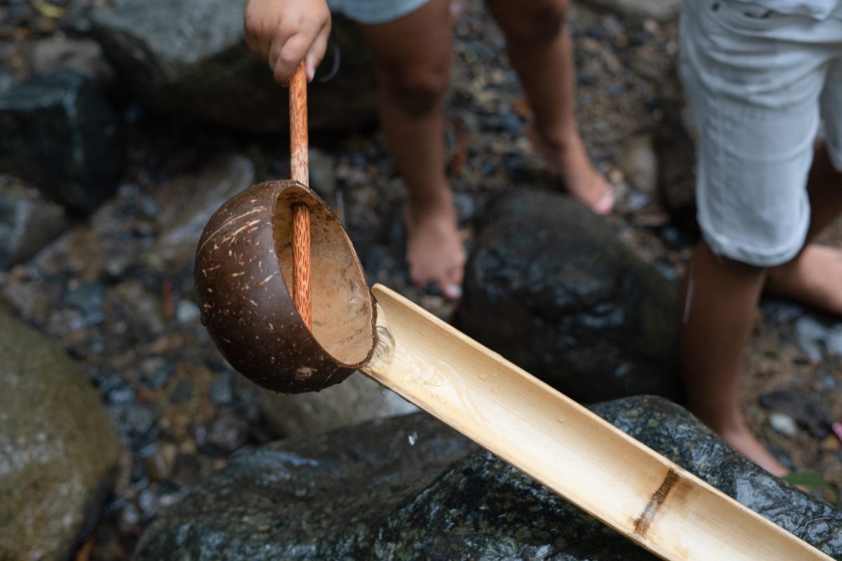 Qtoys - Coconut Water Scoop - Natural Play