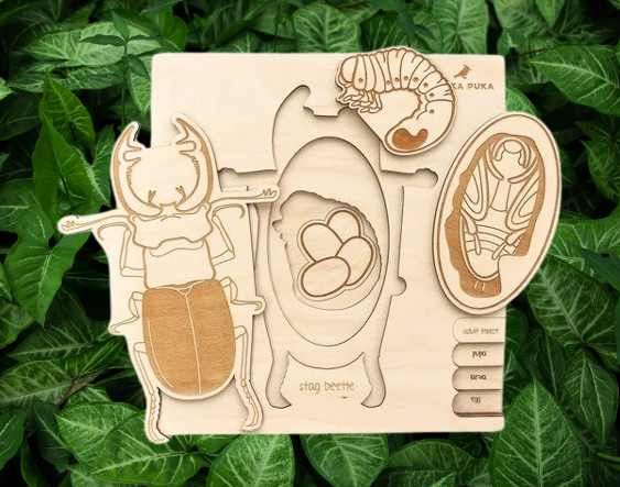 Stuka Puka Stag Beetle - Wooden Educational Puzzle